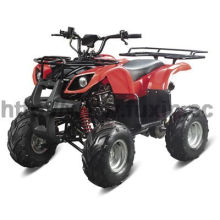 110cc ATV Fahrzeugwagen (FXATV-002A-110cc SF)